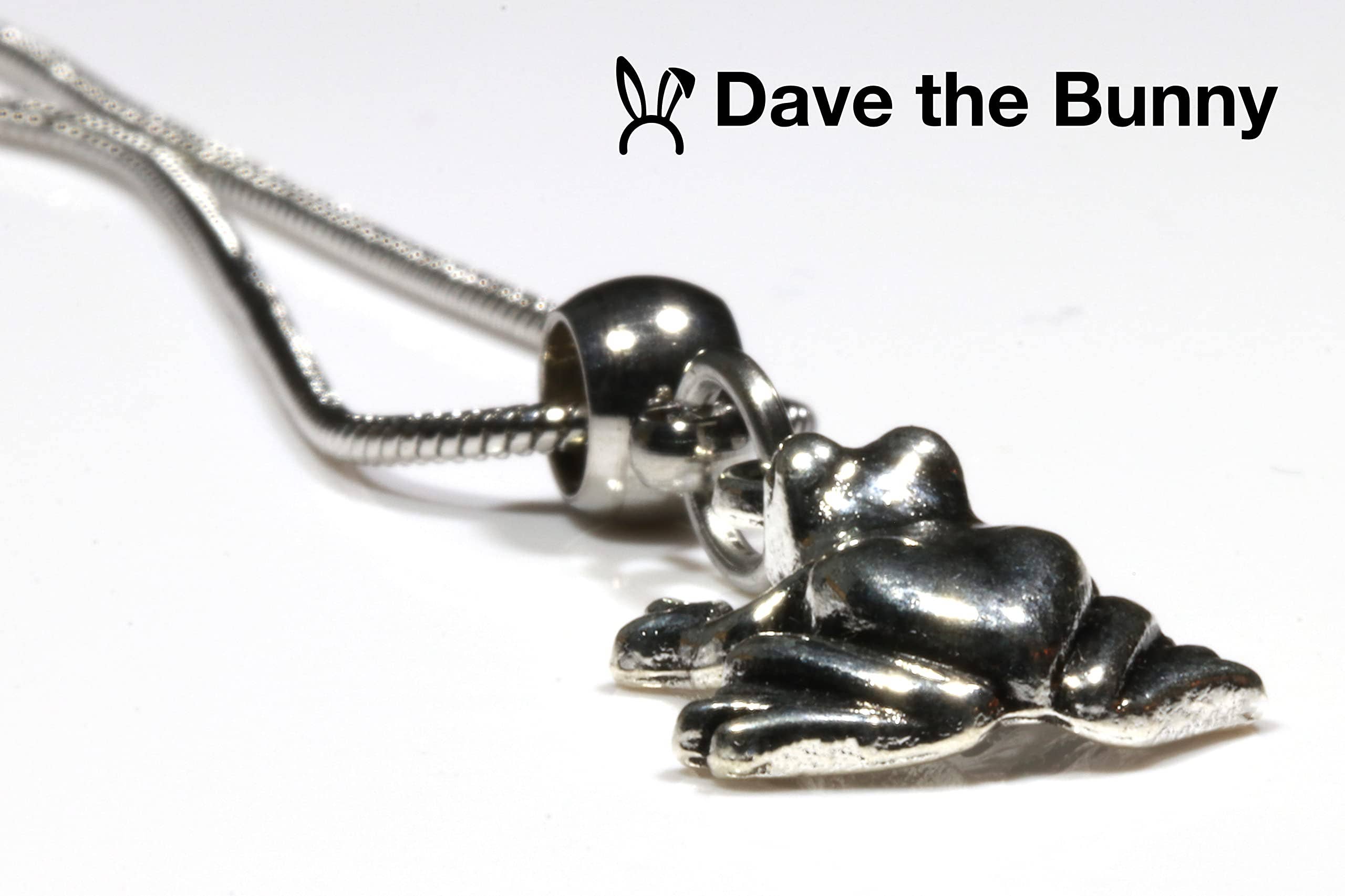 Dave The Bunny – wholesale Pendant/charm necklace – Frog Gifts for Women - 100% Stainless Steel Snake Chain with Cute Frog Stuff and Frog Necklace Cute Stuff for Teen Girls Accessories for Teen Girls and Cool Stuff for Teens nice Frog Jewelry for Women4