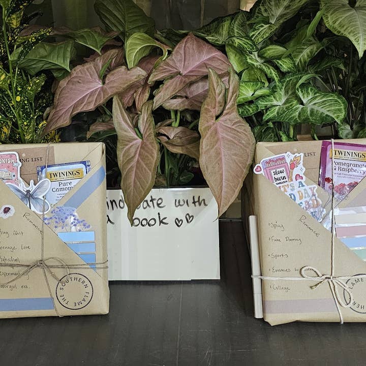 Rendez-vous à l'aveugle avec un livre pour la vente par The Southern Flame