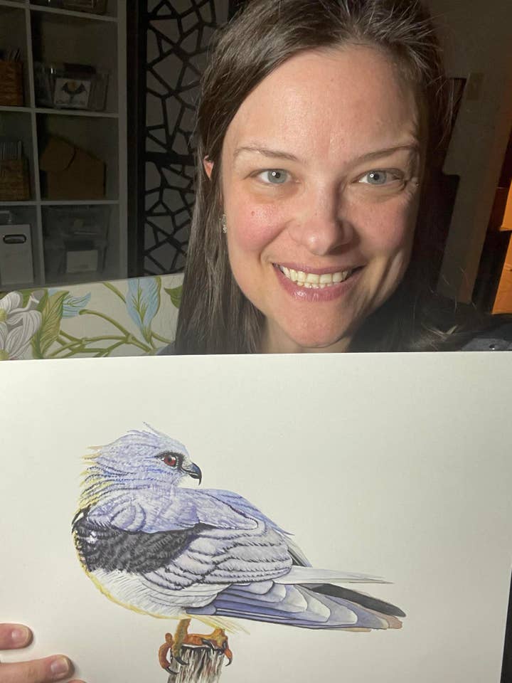 Sortskuldret glente - Kort med kuvert for engroshandel hos Bird Art by KB