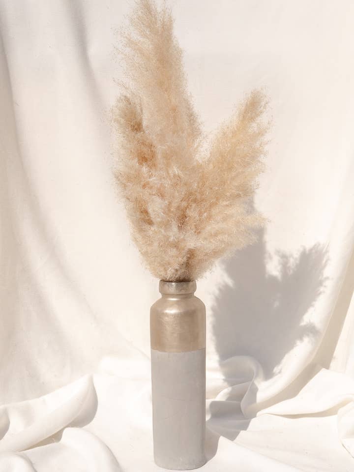 Erba di Pampa Naturale Essiccata Fluffy (Colore Naturale) - taglia M per la vendita all'ingrosso da parte di My pampa blooming