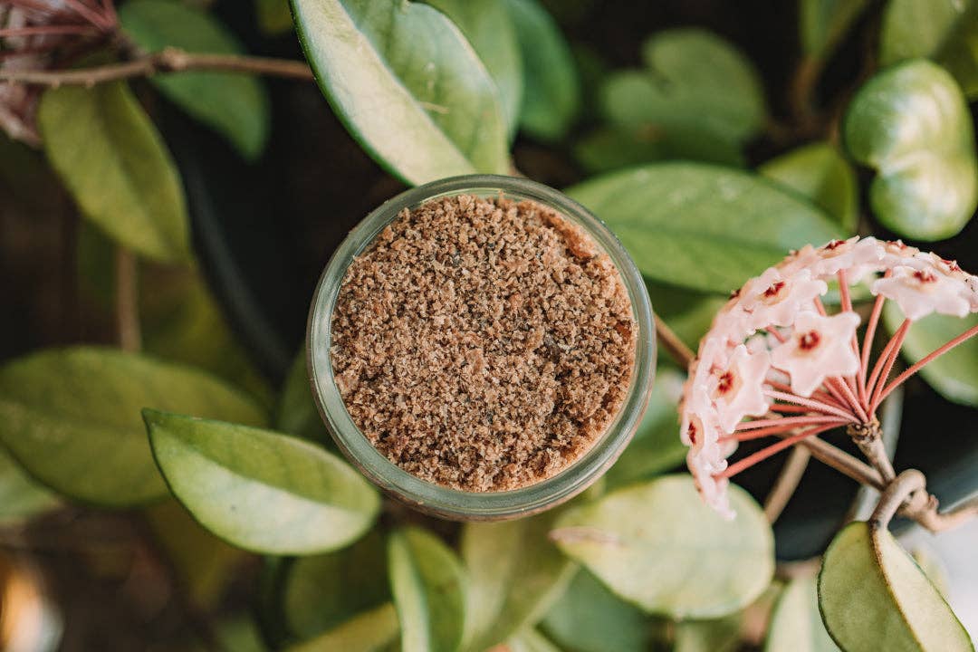 Wild n Fresh Treats – wholesale Godis - Hund – Beef Green Tripe Topper2