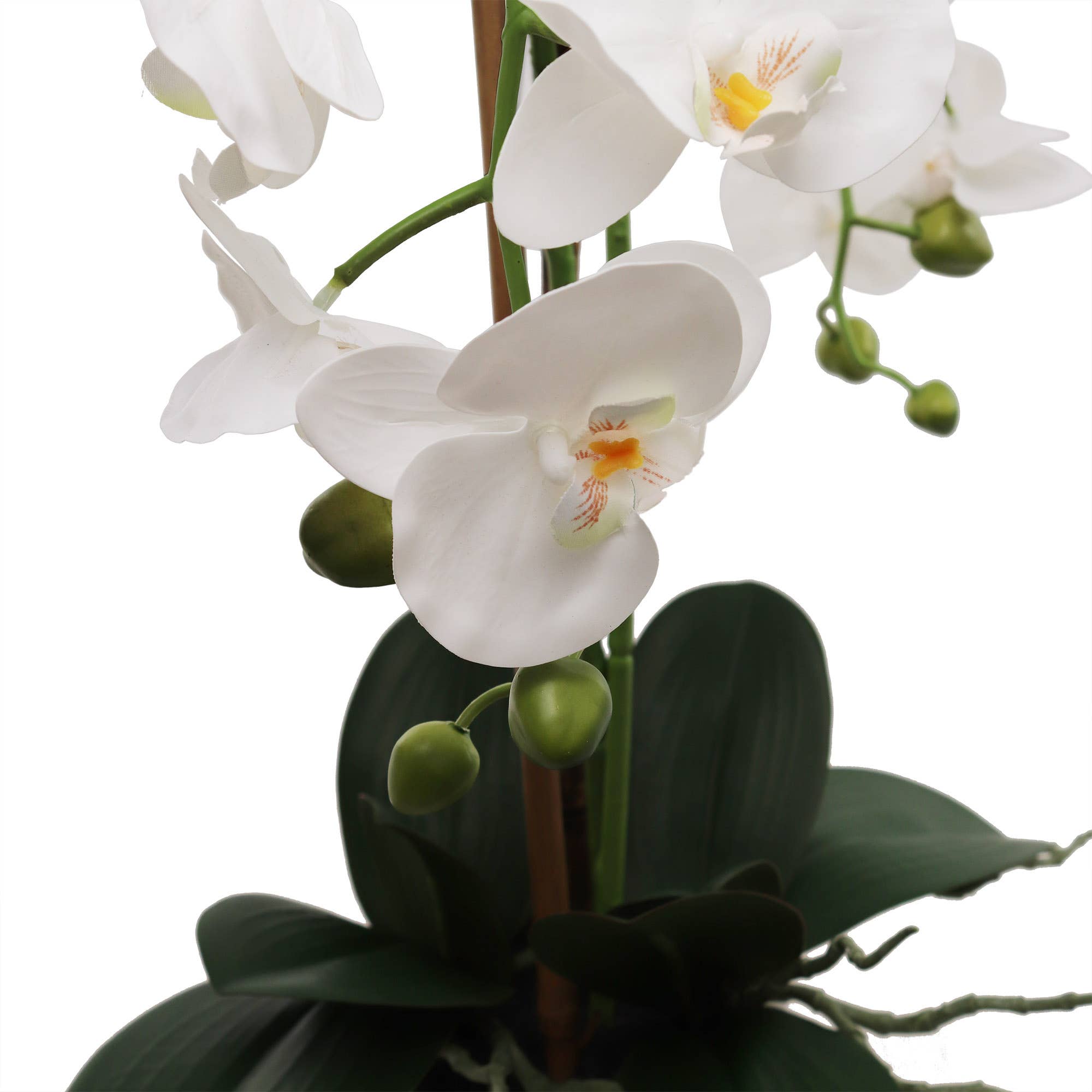 Larksilk - Wholesale Artificial Flowers - Elegant White Phalaenopsis Orchid Arrangement In 5" Cube Pot5
