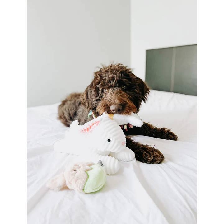 Midlee Designs - Vente Peluche – chien - Midlee Designs Jouets pour chiens œufs lapin de Pâques - Lot de 36