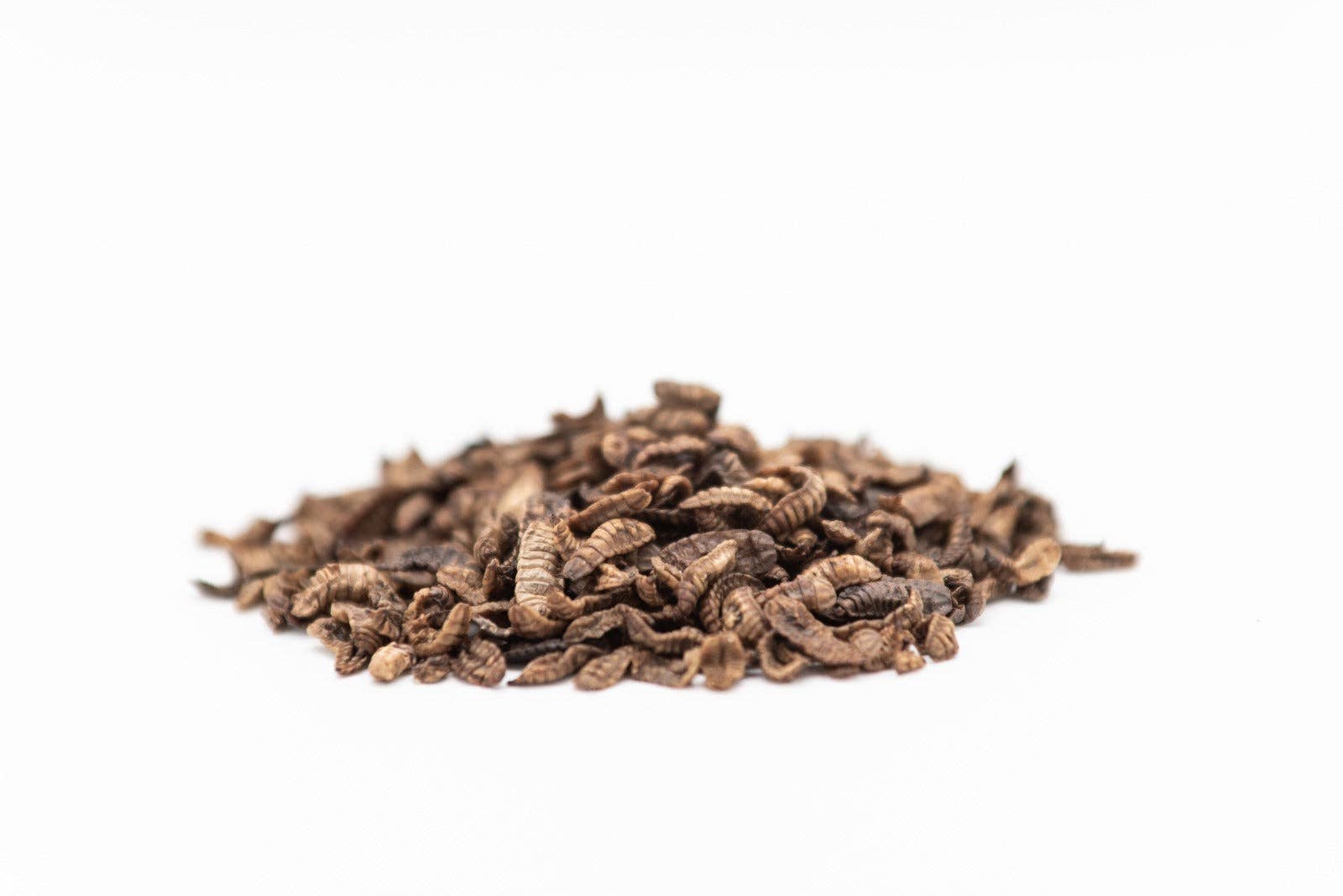 Wormganix Worm Castings – wholesale Pet supplement – Not cat/dog – Wormganix 100% Natural Dry Oven Dried BSF Black Soldier Fly Larvae Calci Worms 10 Litre2