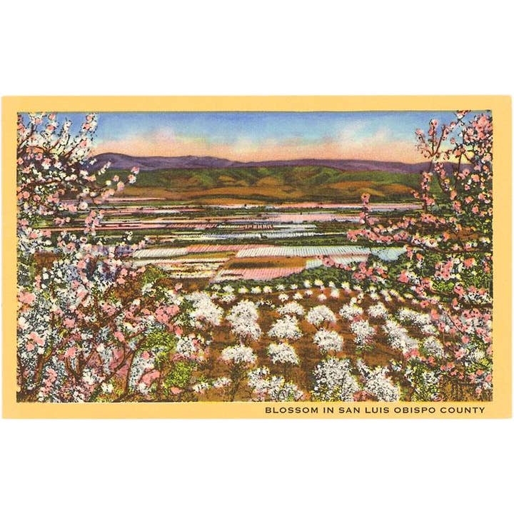 Magnet CA-691 Blossoms in San Luis Obispo County for wholesale by Found Image Press