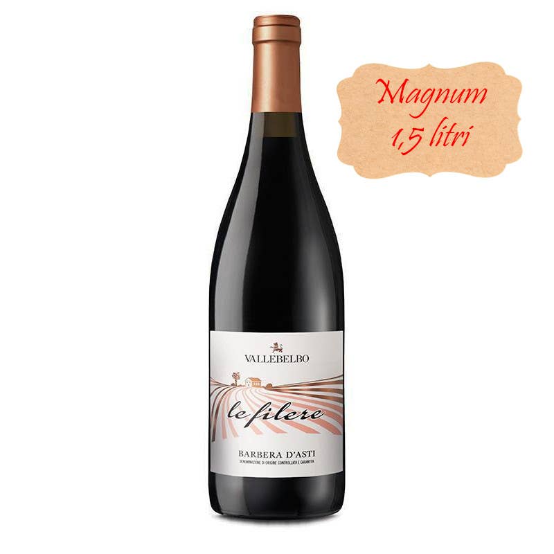 Metina SAS - Wholesale Red Wine - Le Filere Barbera D'Asti DOCG1