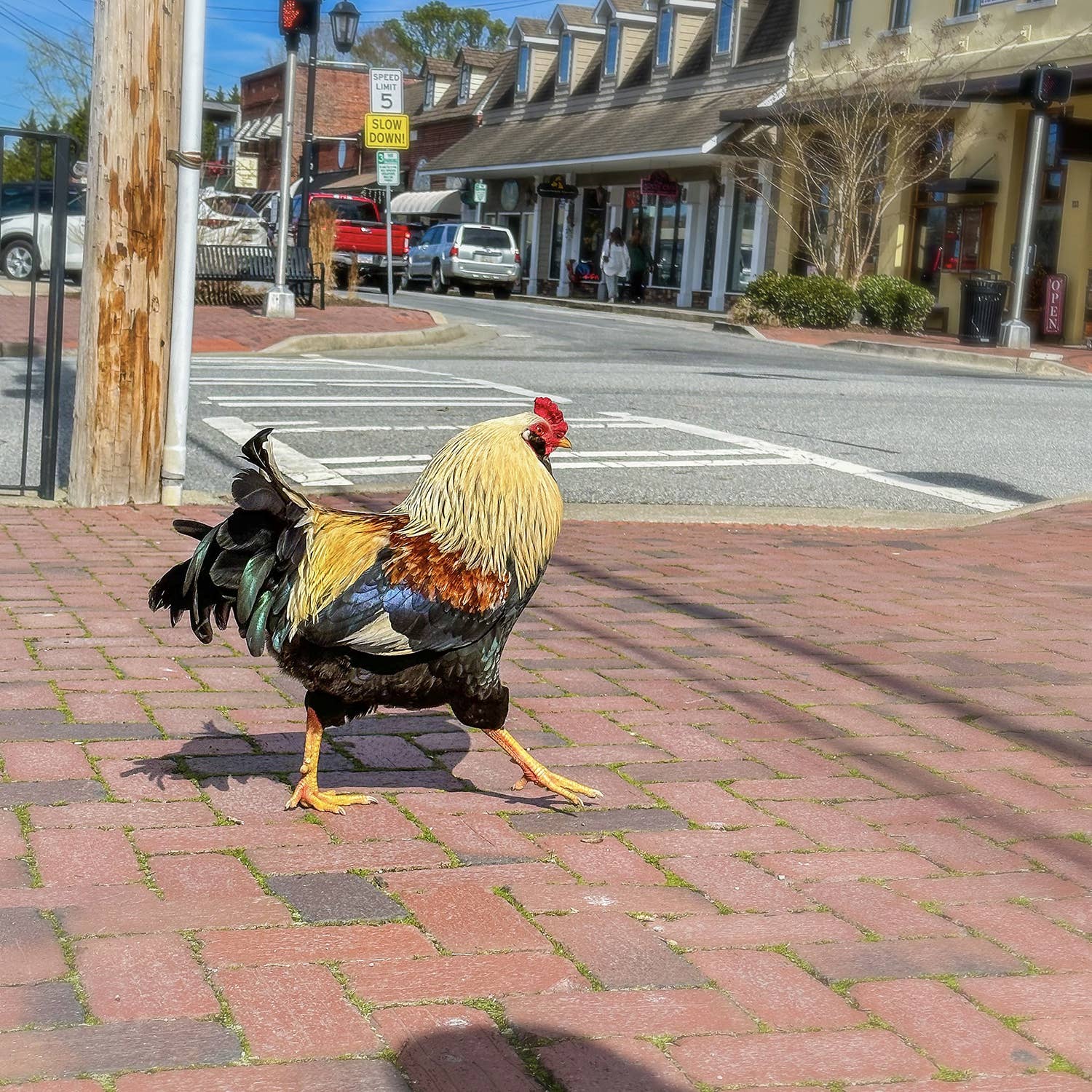 Mountain City Apparel - Wholesale Sticker - Mountain City Sticker3