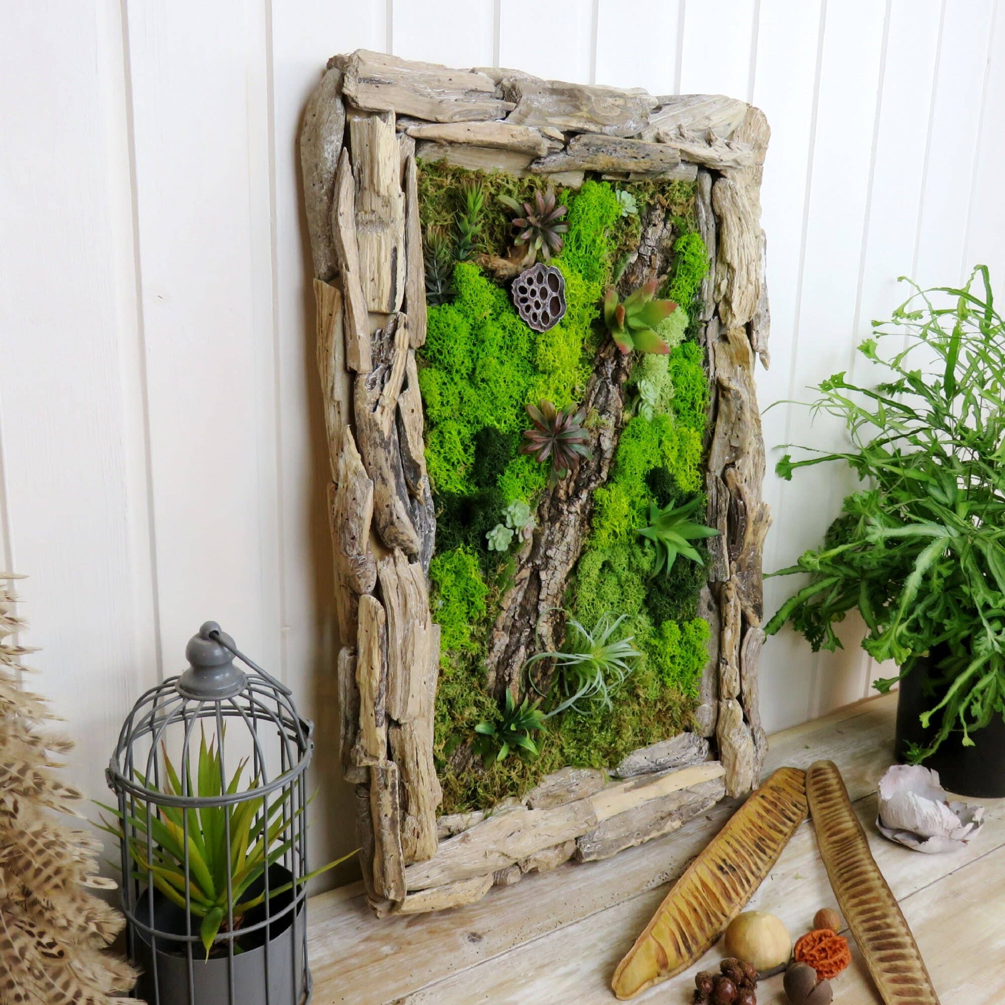 FEATHER KAN GMBH - Wholesale Dimensionele/3D-muurkunst - Mosdecoratie voor aan de muur - kunstplanten en natuurlijke materialen7