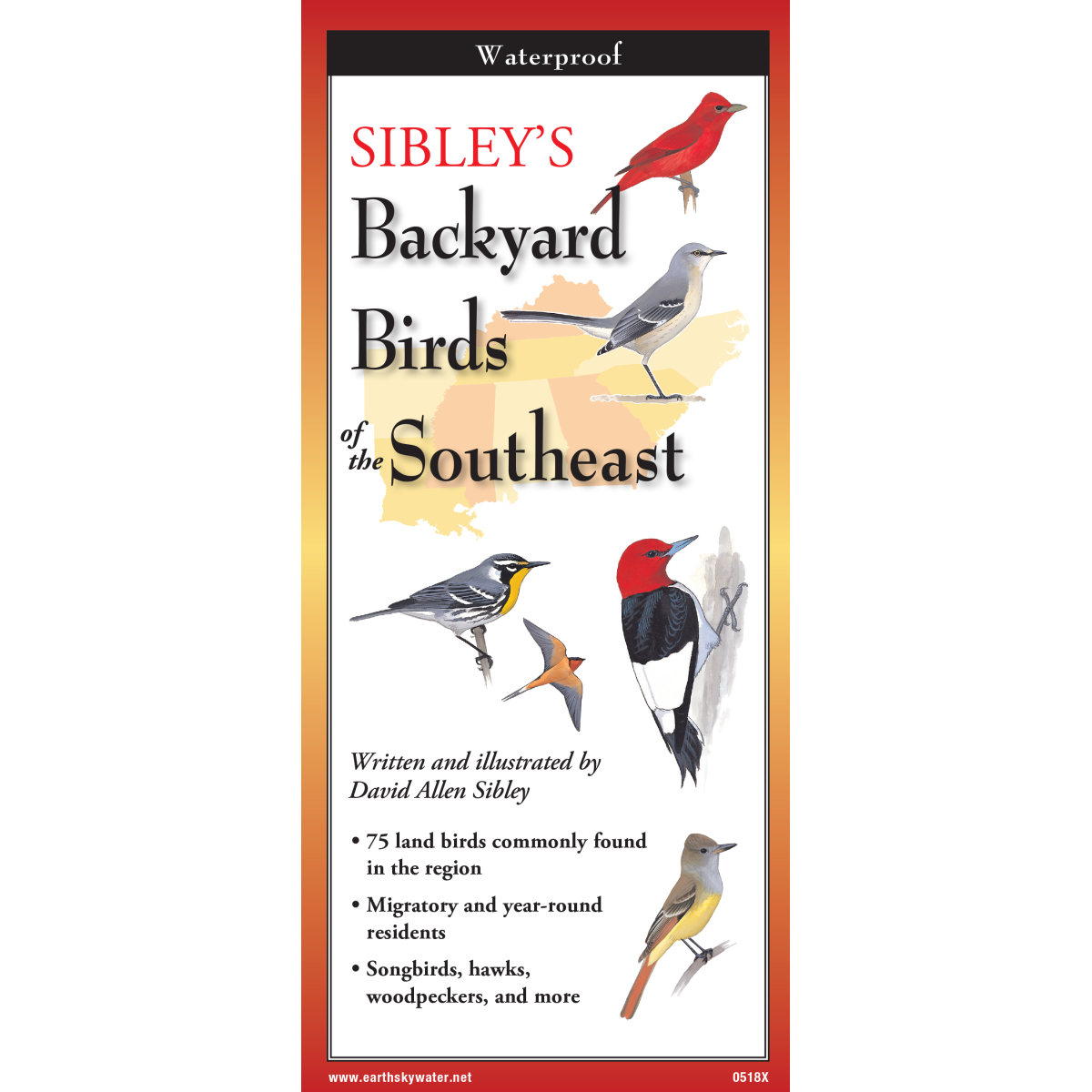 Earth Sky + Water - Wholesale Nature & Outdoors Book - Sibley's Backyard Birds of Southeast0