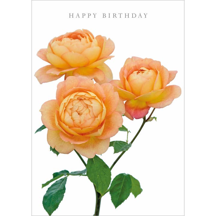DA54 Happy Birthday Rose Scented Greeting Card for wholesale by Dyson Design