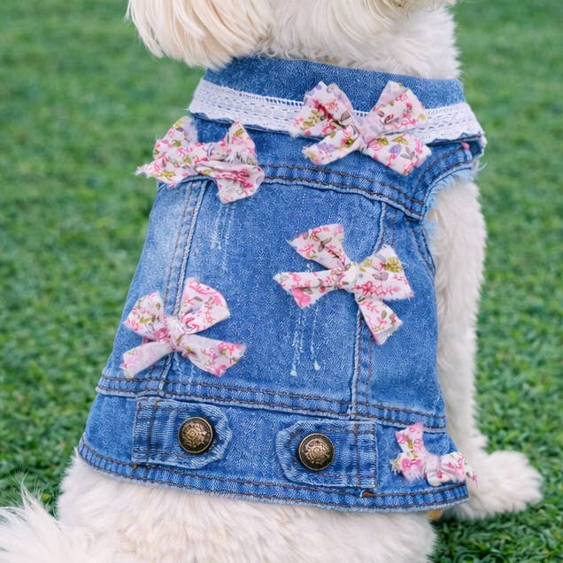 It's a Bow World Blue Vest for wholesale by Heads or Tails Pup