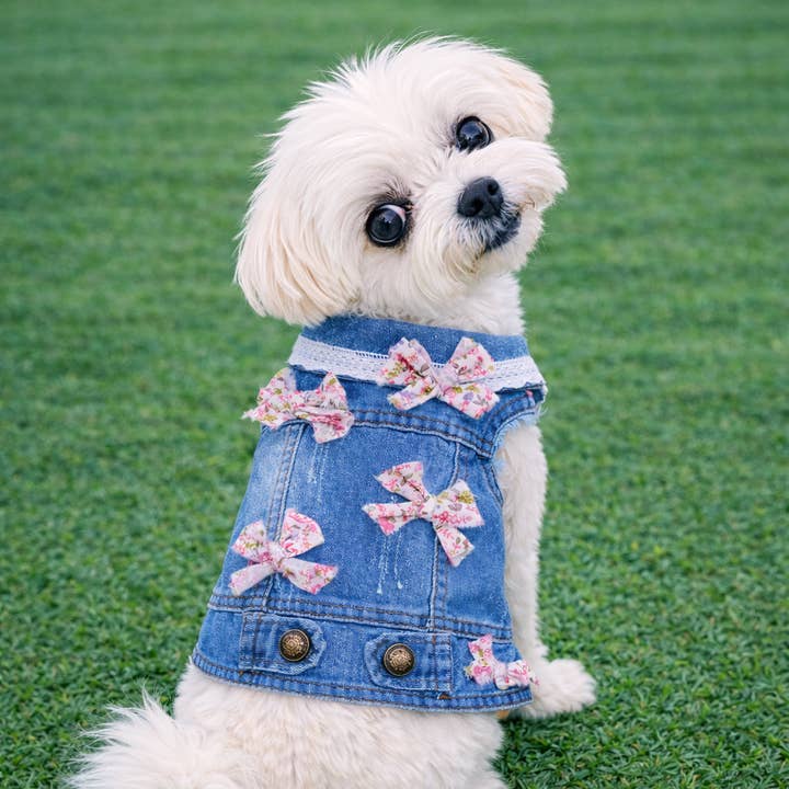 Det är en Bow World Blå Väst för wholesale av Heads or Tails Pup