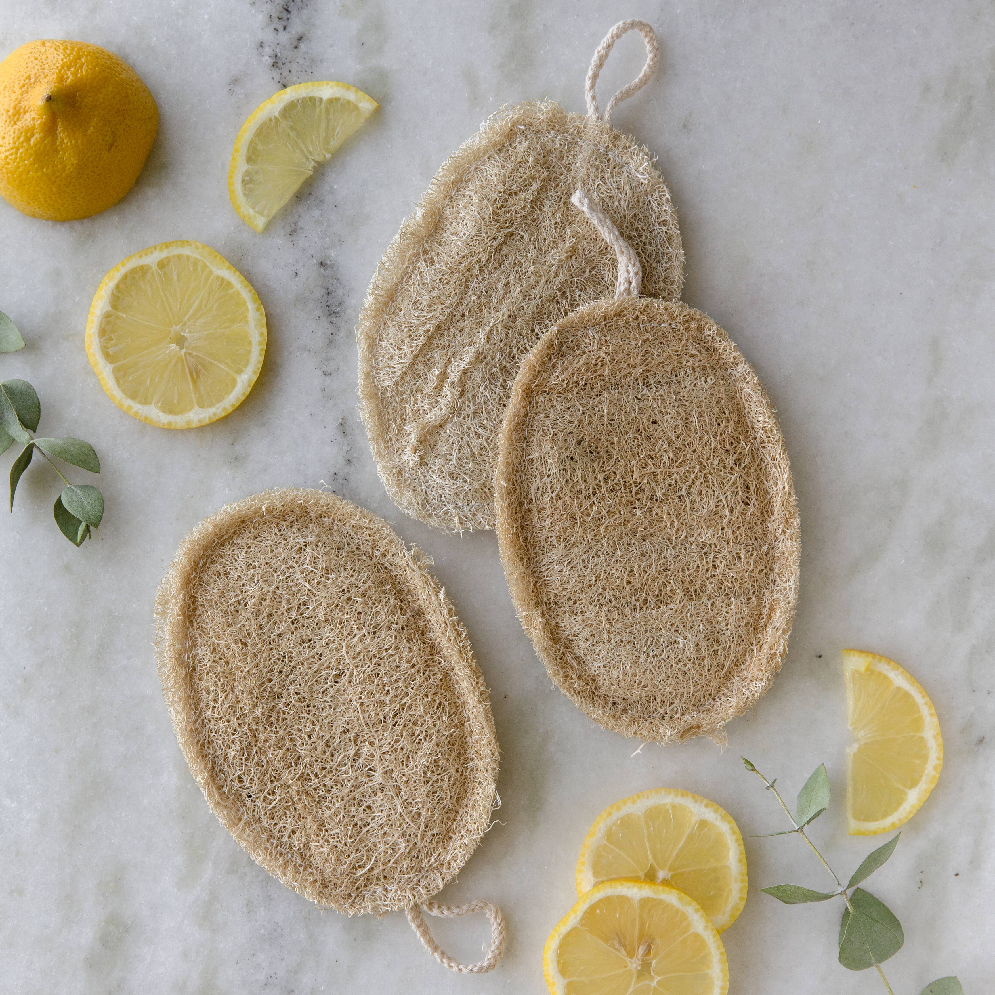 Earth Ahead - Wholesale Loofah - Double Layer Large Natural Loofah Sponge6