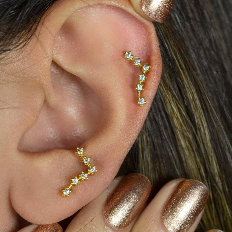 StockJWL - Wholesale Stud/Post Earrings - 12 Zodiac Earrings, Constellation Stud Earring Stud Piercing Tragus Helix Lobe and Cartilage Silver And Gold69