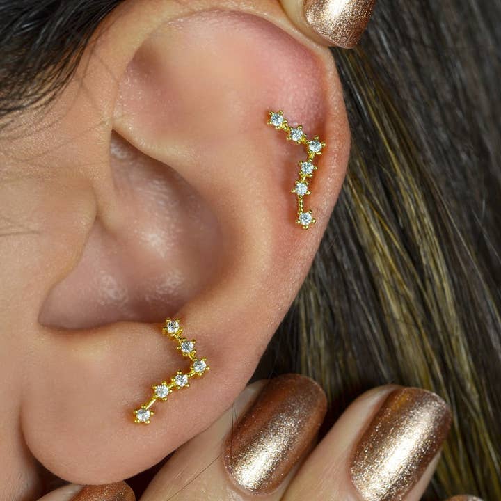 StockJWL - Wholesale Stud/Post Earrings - 12 Zodiac Earrings, Constellation Stud Earring Stud Piercing Tragus Helix Lobe and Cartilage Silver And Gold69