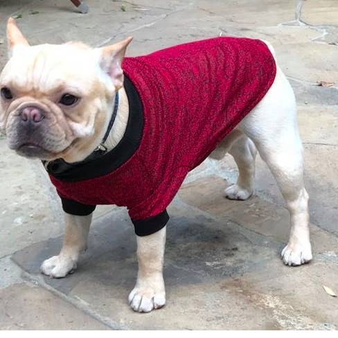 Sidney L/S Tee i Rød Med Sort Trim for engroshandel hos Bone Vivant