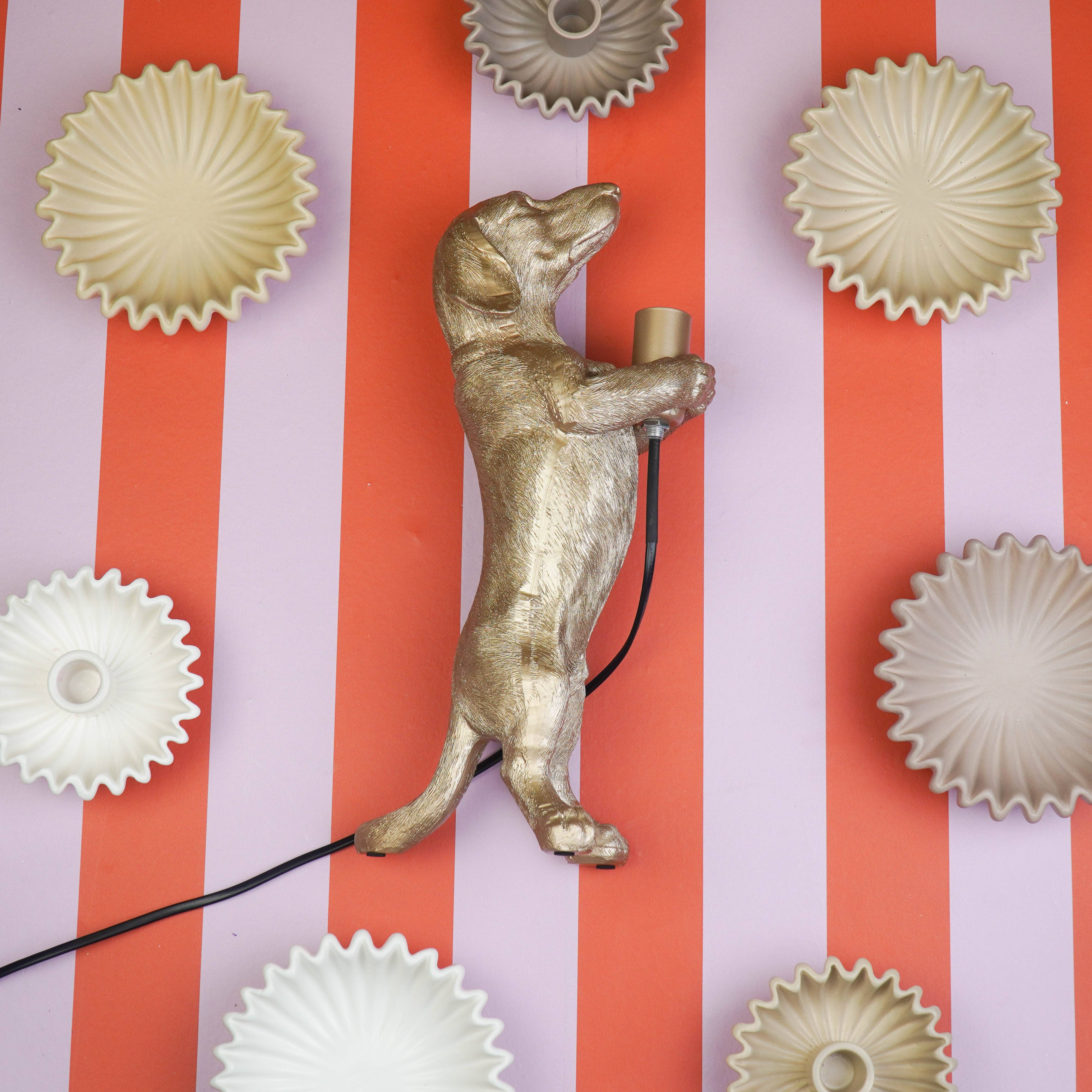 Housevitamin bv - Wholesale Figurine Lamp - Table Lamp - Dachshund Lamp - Polyresin - Gold - E14 - 10x15x38cm3