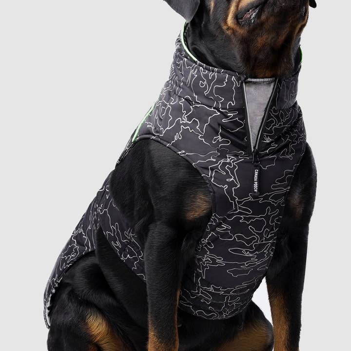 Expedition Coat 2.0- Hundkappa för wholesale av Canada Pooch