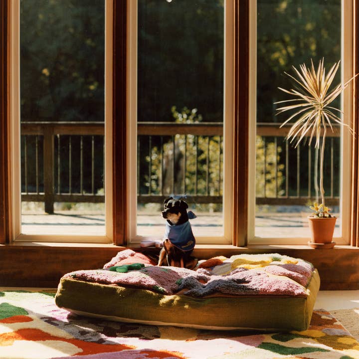 ProbaHome - Wholesale Pet Bed - Cat/Dog - "Sam's" Bed4