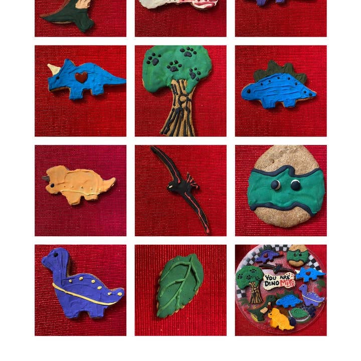 Dinosaurs Organic Dog Cookie Box for wholesale by PAWsitively Organic Dog Bakery