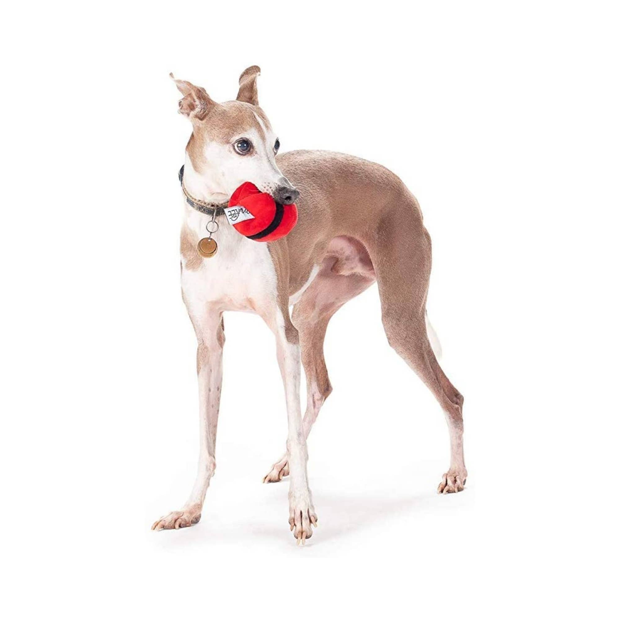 Midlee Designs - Wholesale Pet Plush Toy - Dog - Midlee Christmas Plush Dog Balls- Pack of 64