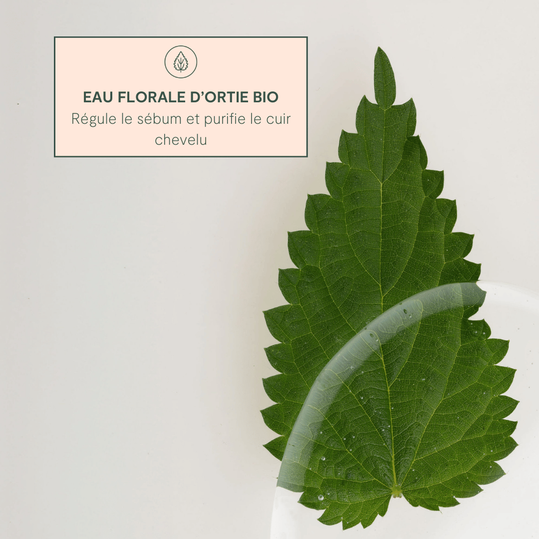 LAO - Vendita all'ingrosso Shampoo - Shampoo purificante bestseller7