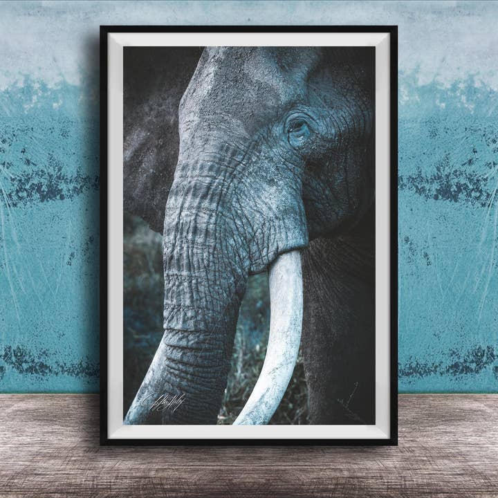 Elephant Wall Art - African Safari - Sunset Colors for wholesale by Clifton Haley Photography