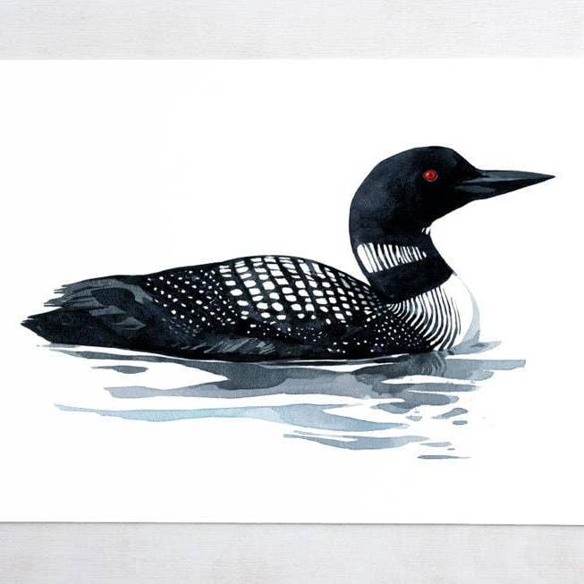 Studio Tuesday - Wholesale Art Print - Common Loon Art Print Bird Watercolor Painting