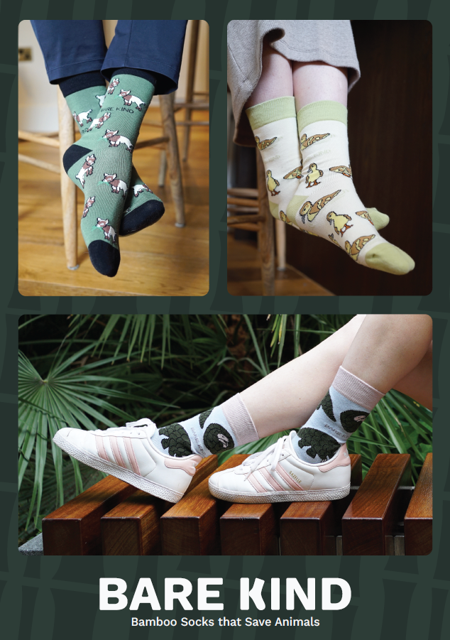 Bare Kind Socks – Engroshandel Plakat – Holdbare plakater til detailhandel | POS3