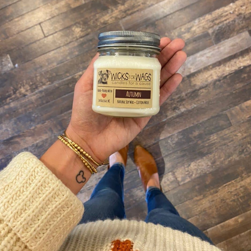 Wicks for Wags – wholesale Jar/filled candle – Starry Night | Mason Jar Soy Candle4