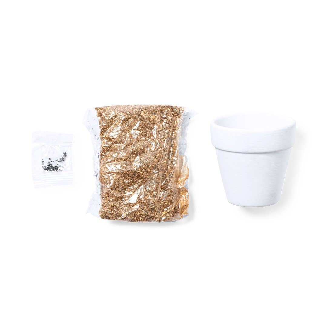 Ekoobou - Wholesale Plant Seeds - Cactus Flowering Kit Konte3