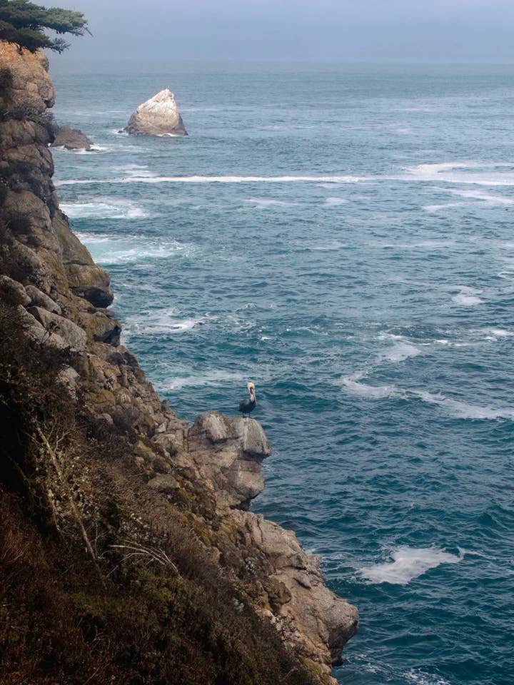 Kust nr 7 för wholesale av Wilder California