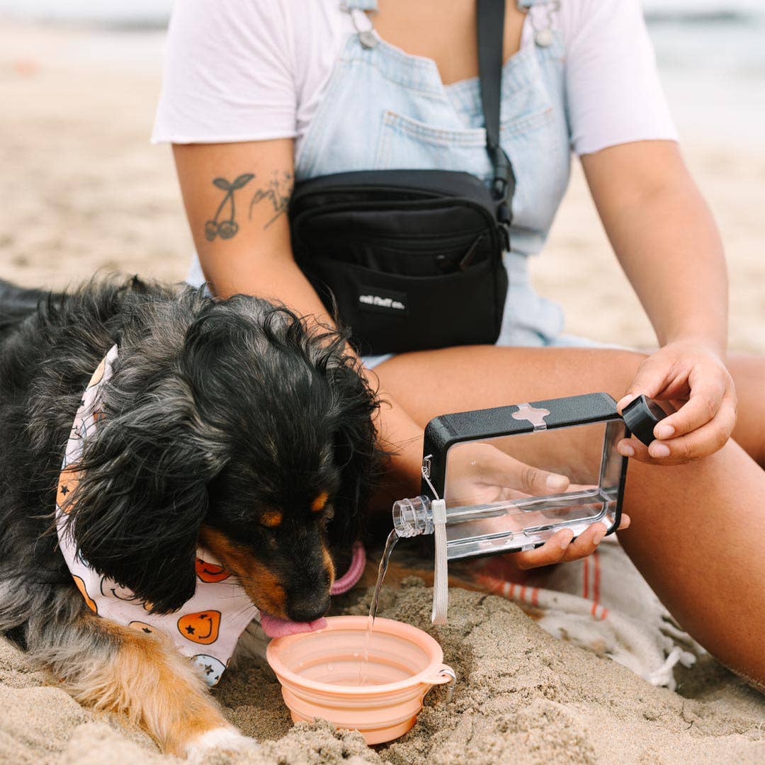 Cali Fluff Co. - Vente Bouteilles d'eau - Bouteille d'eau minimaliste2