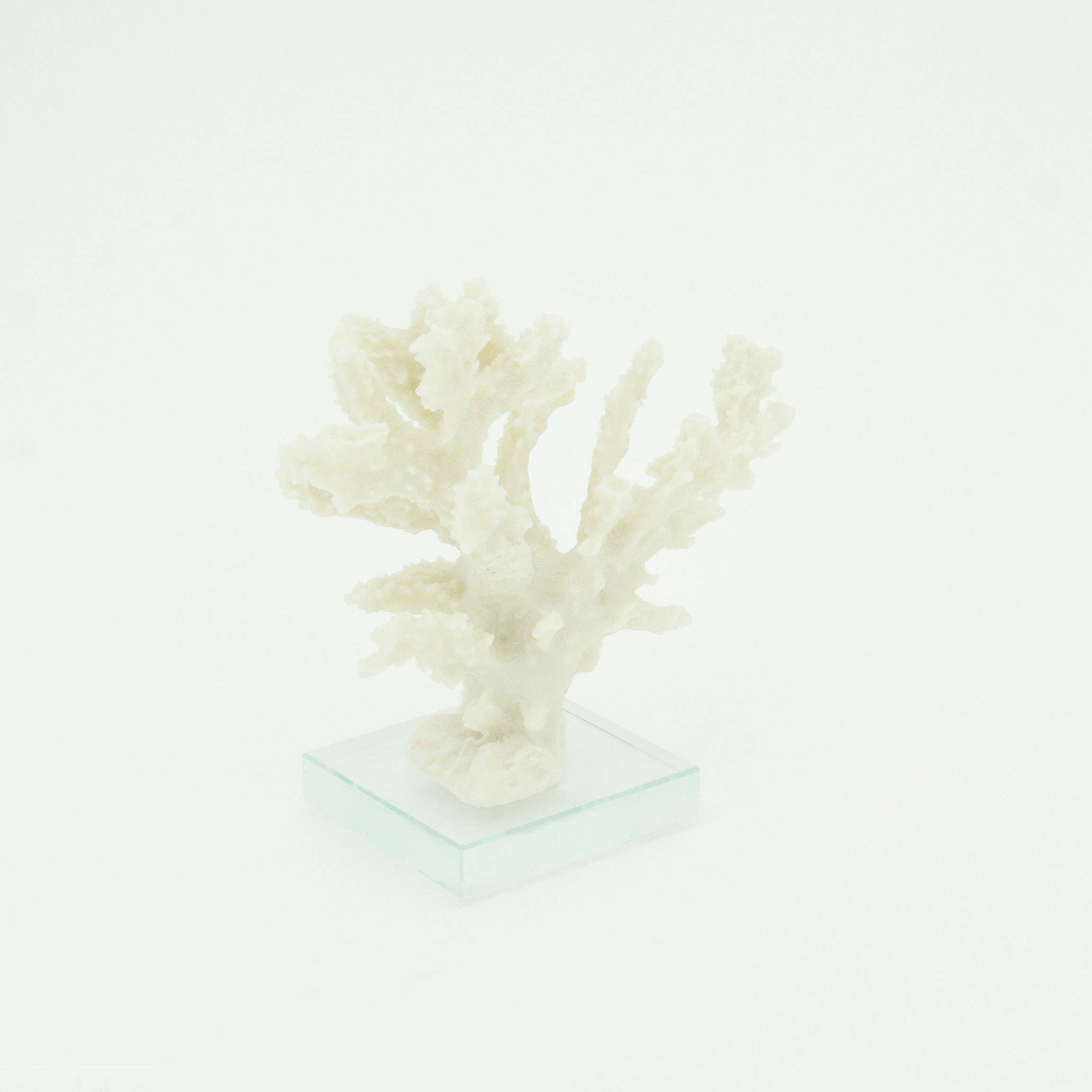 Modern Coastal by Contrast Inc. - Wholesale Decorative Tabletop Object - Staghorn Coral on Base3