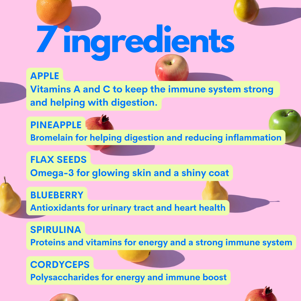 JAMPY - Wholesale Pet Supplement - Cat/Dog - Superfood Fruit Mix - 100% Natural Vitamin Powder for Dogs1