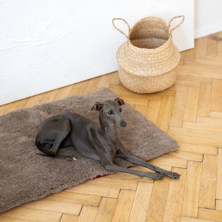 Mellow – wholesale Husdjursbädd – Hund – Fyrkantig eller rektangulär naturlig ull husdjursmatta - beige