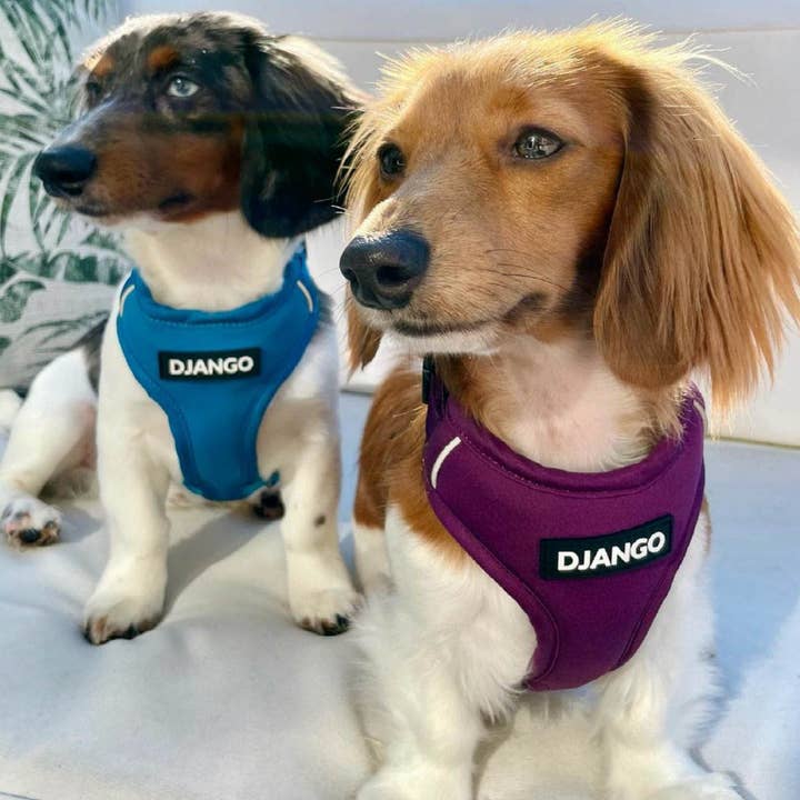 DJANGO - Wholesale Pet Harness - Dog - Adventure Dog Harness - Plum Purple2