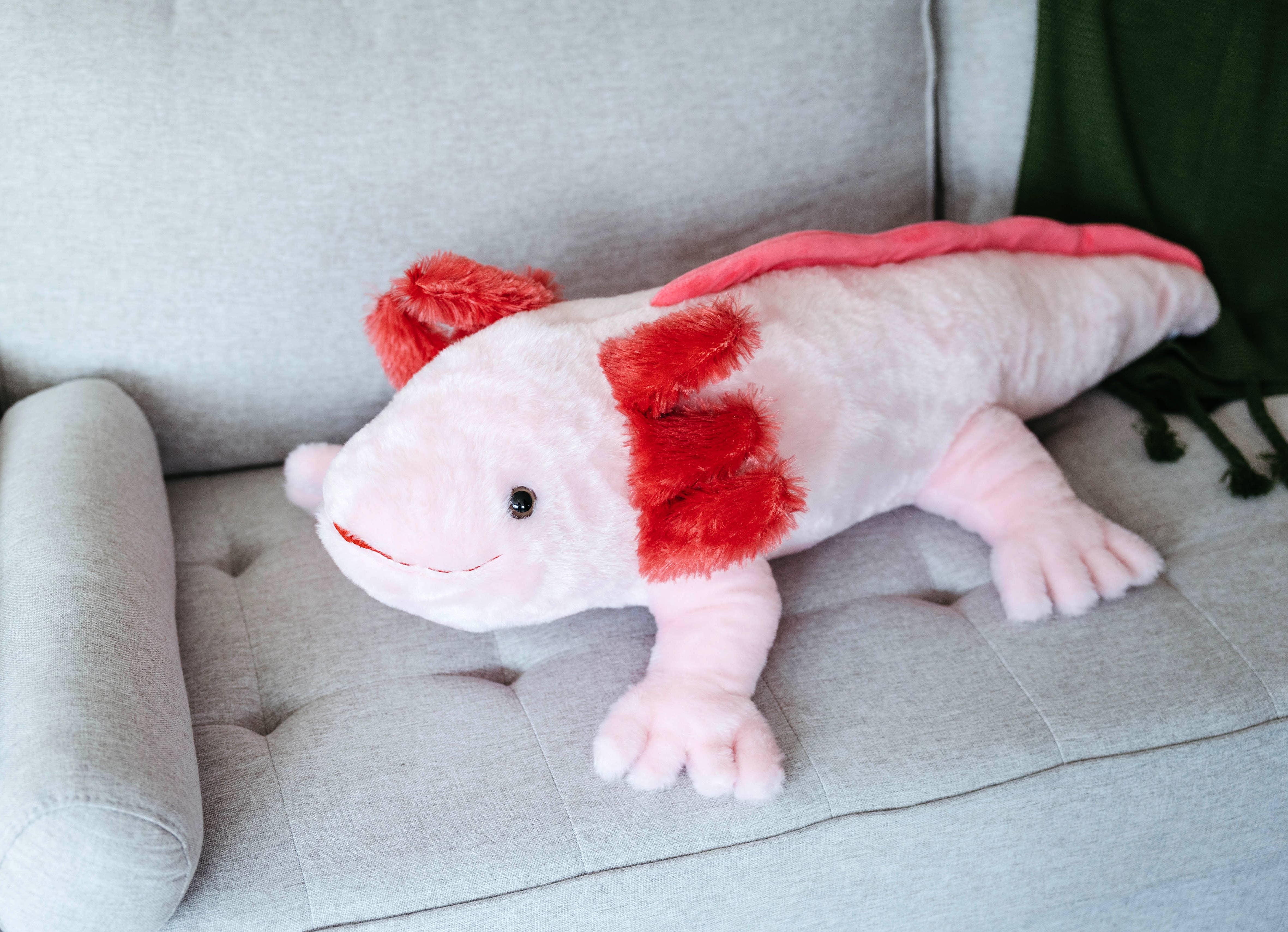 The Petting Zoo - Wholesale Stuffed/Plush Toy - Kids & Baby - 21" (51cm) Medium Axolotl Sea Life3