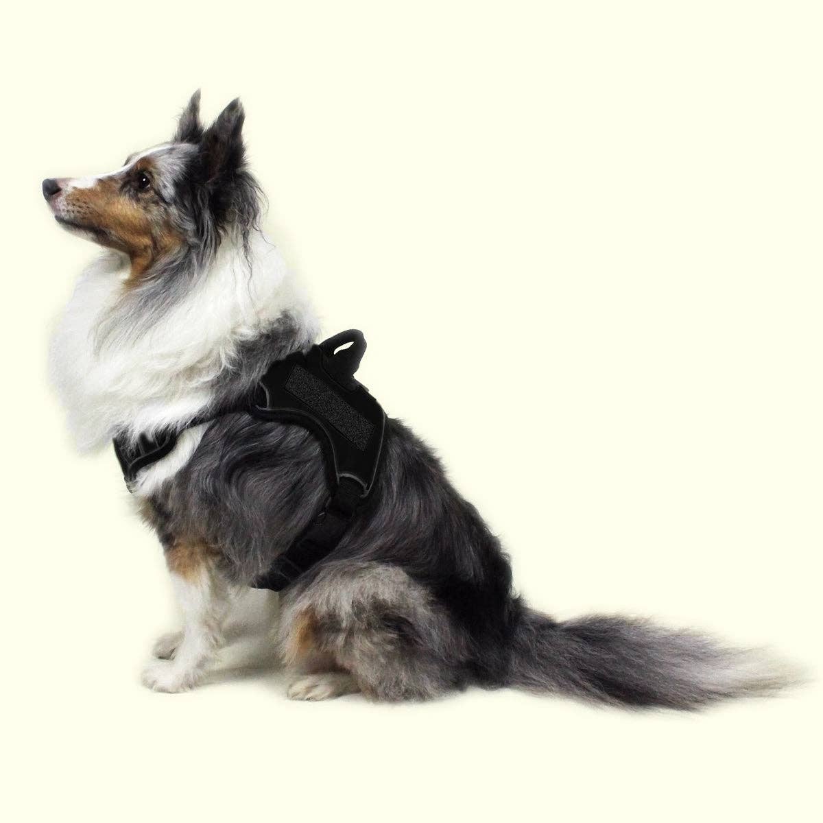 Dogline - Wholesale Pet Harness - Dog - Dogline Quest Multi-Purpose Dog Harness16
