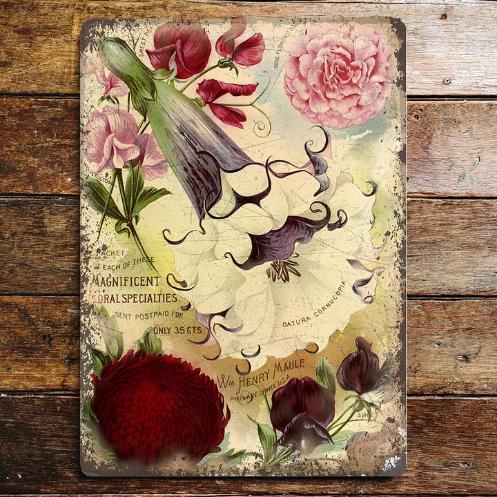 The British Metal Signs Company - Wholesale Sign - Vintage Seed Pack Botanical Flowers- Metal Wall Sign Plaque