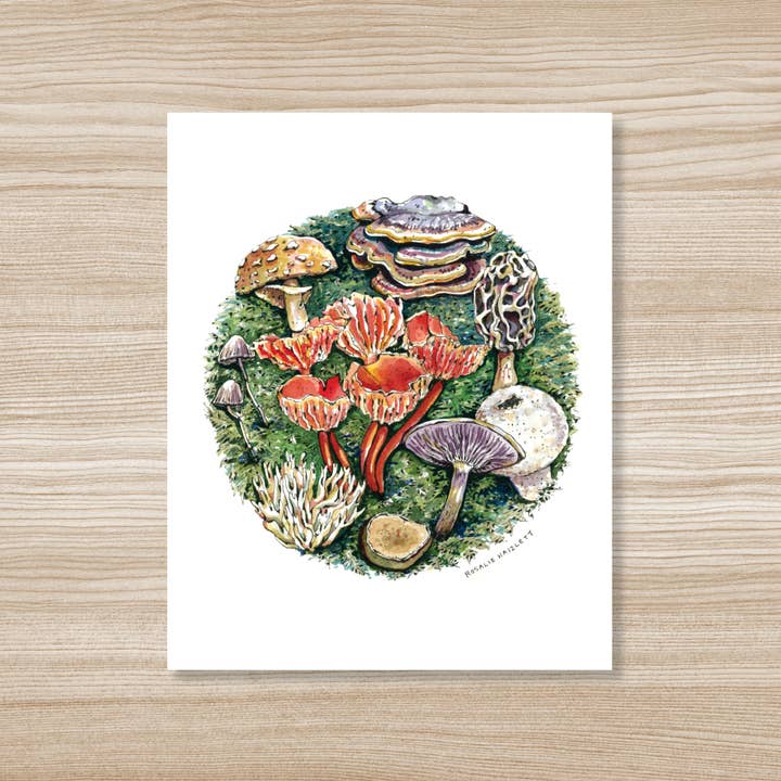 Forest Mushrooms Watercolor Art Print for wholesale by Rosalie Haizlett Illustration