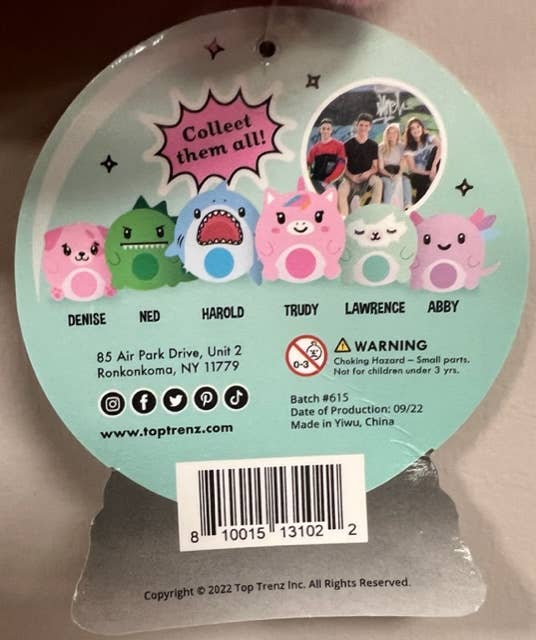 Top Trenz Inc - Wholesale Squishy Toy - Kids & Baby - Magic Fortune Friends -Plush Squishy Waterball Toy ANIMAL 3