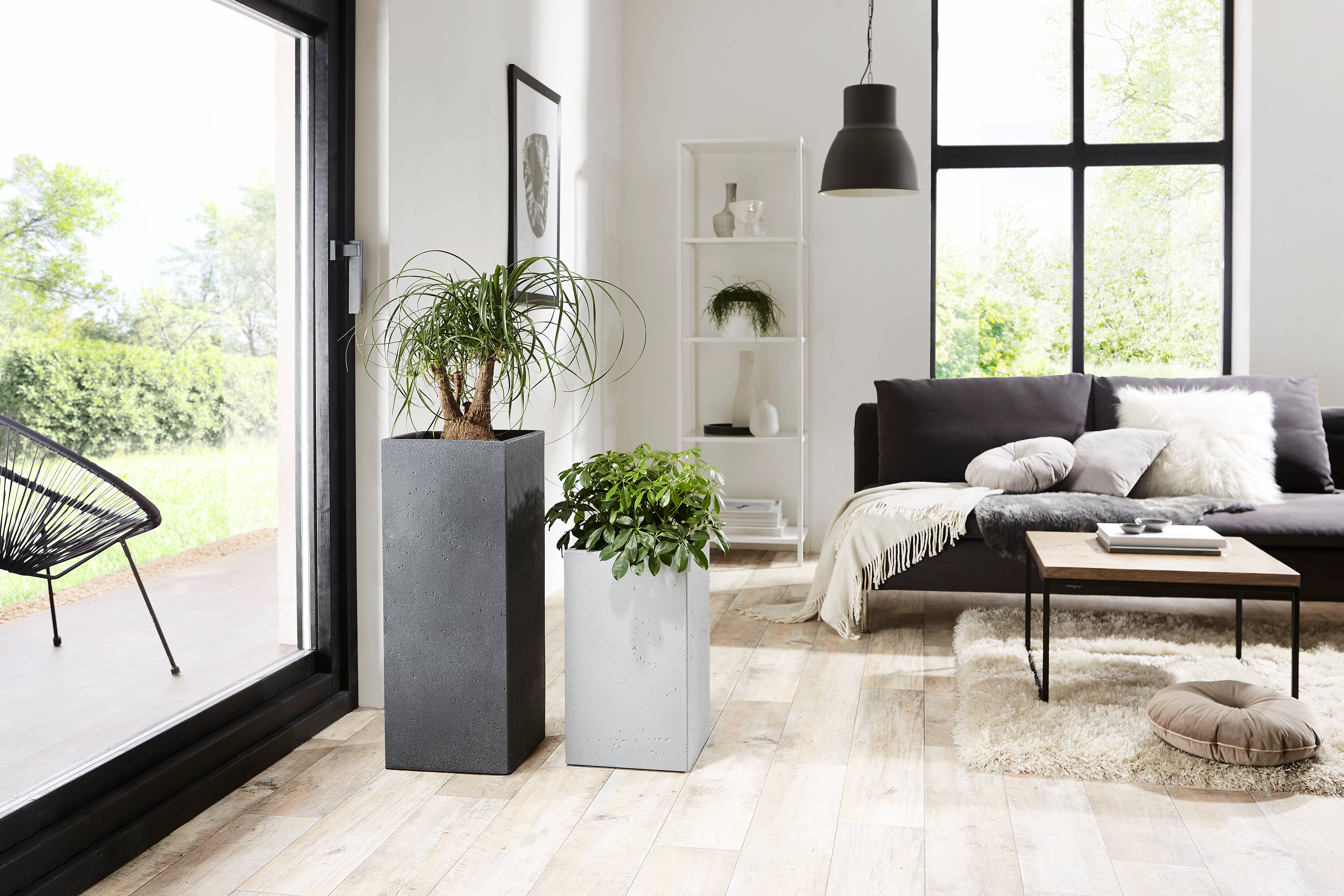 Scheurich - Wholesale Plant Pot - C-Cube 240 plastic flower pot/planter18