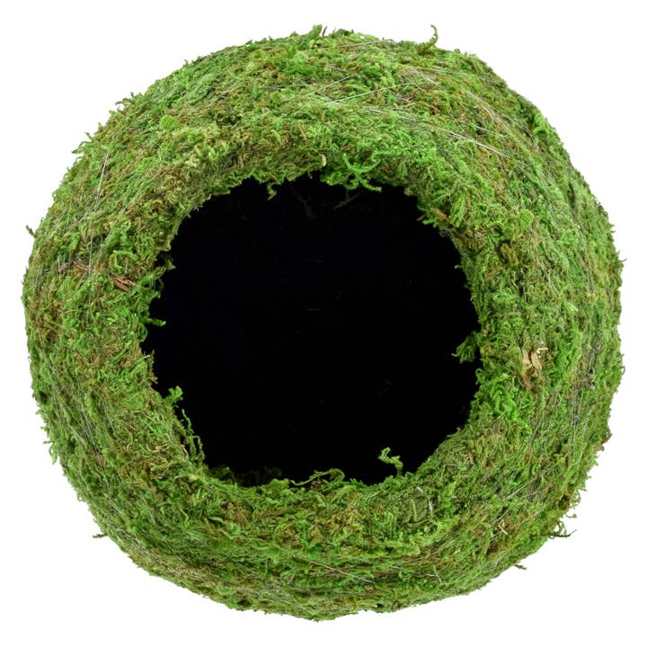 Arcadia Garden Products - Wholesale Live Plant - Kokedama 8.5 x 7.5”1