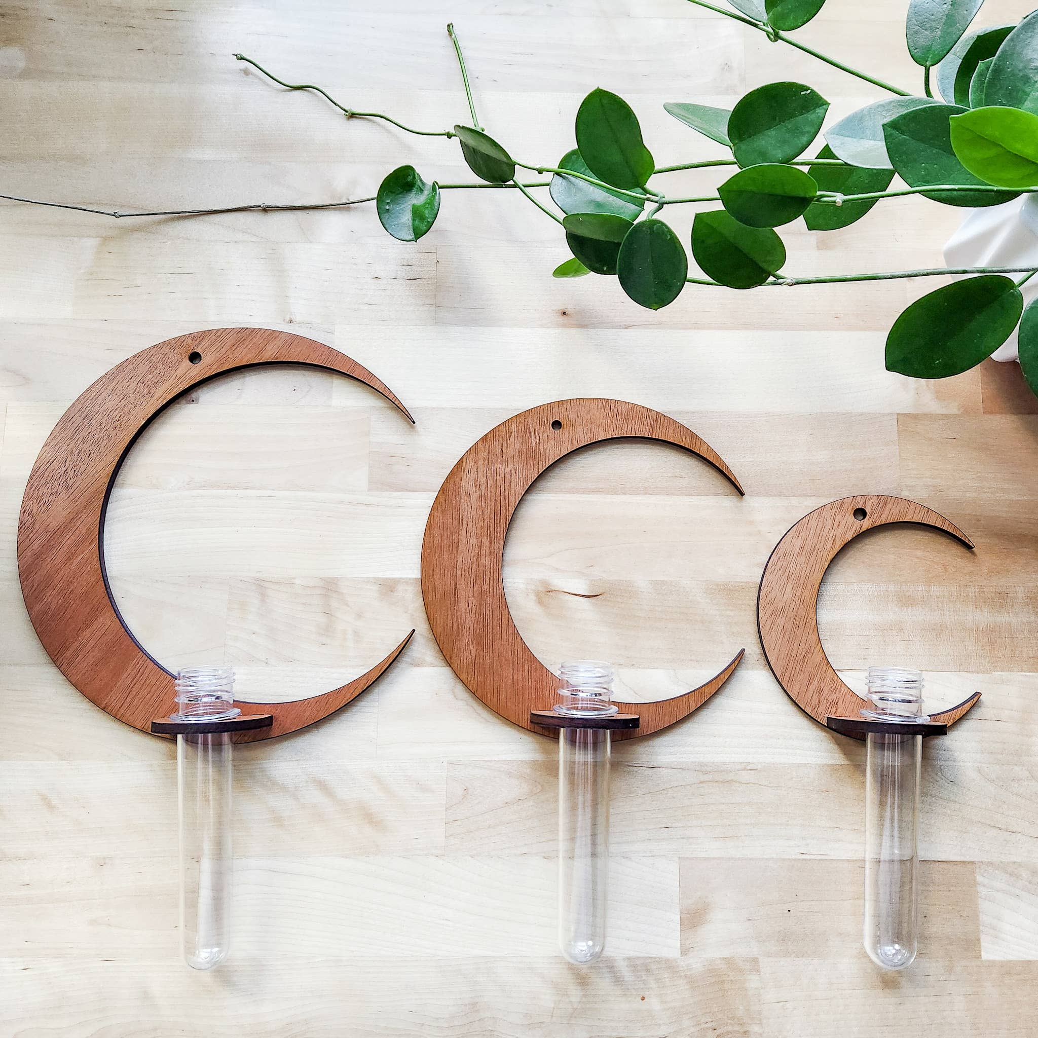 Leaf & Node - Wholesale Hanging Planter - Wall Hanging Propagation Station - Moon Test Tube Holder8