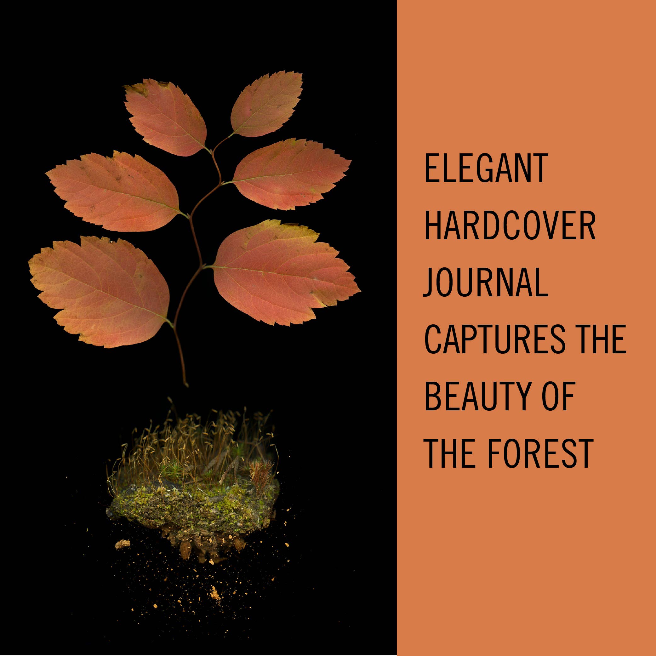 Chronicle Books - Wholesale Journal/Diary - Deep Dark Forest Mushroom Journal1