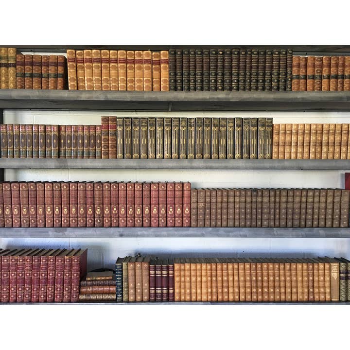 Antiquarian English Leather- Priced By The Linear Foot for wholesale by E. Lawrence, Ltd.