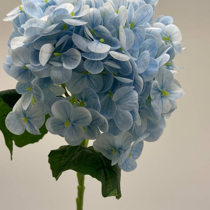 JKF & Co Pty Ltd - Wholesale Artificial Flowers - Real Touch Medium Hydrangea Light Blue1