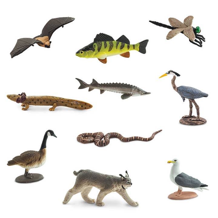 Safari Ltd. - Wholesale Figurine Toy - Kids - Great Lakes TOOB® - 100264