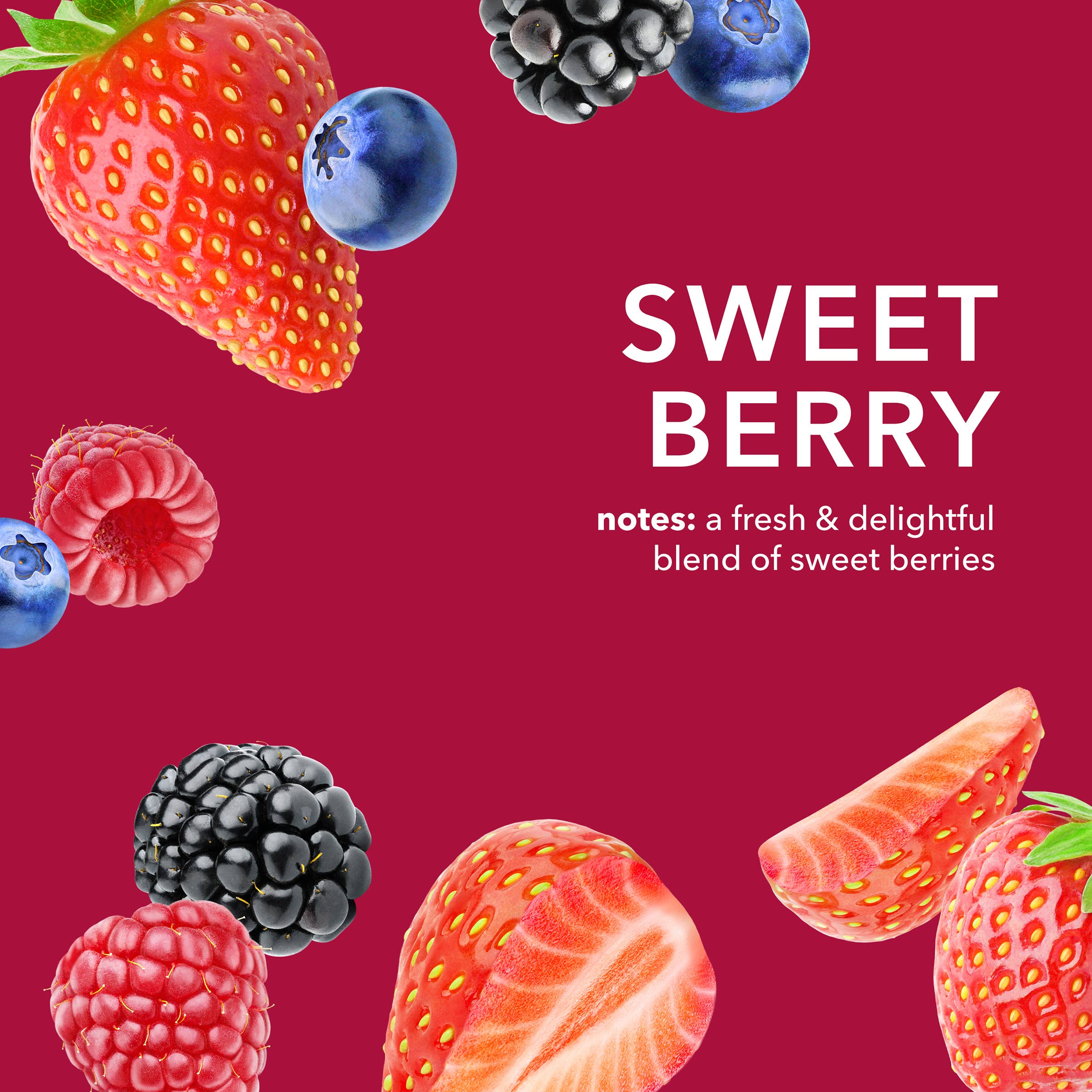 Dionis Goat Milk Skincare - Wholesale Lip Balm Set - Dionis Sweet Berry Goat Milk Lip Balm, .28 oz. (6ct Bag)3